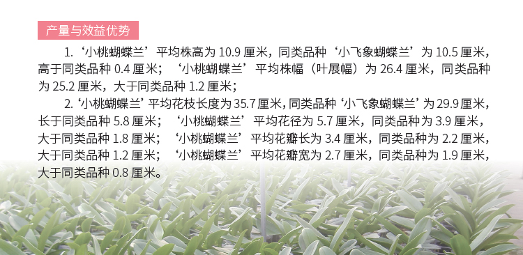 博彩论坛排名