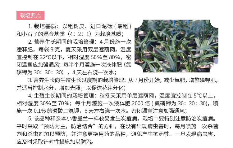 博彩论坛排名