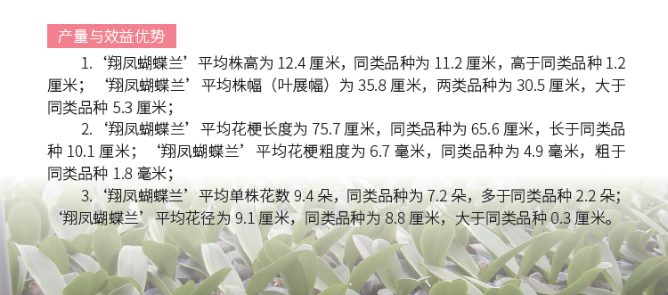 博彩论坛排名