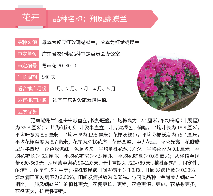 博彩论坛排名