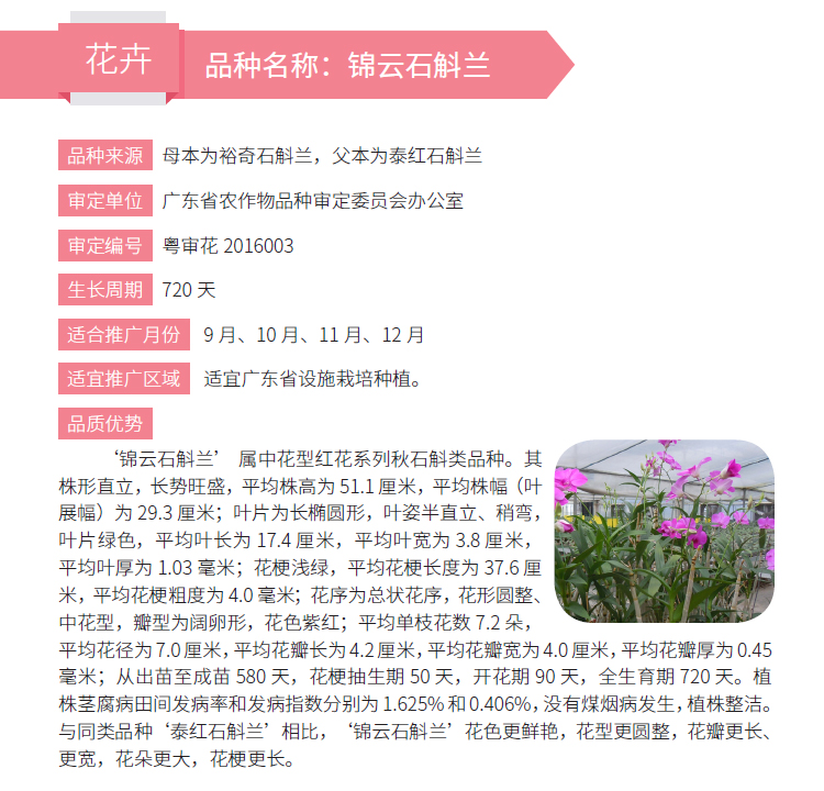 博彩论坛排名