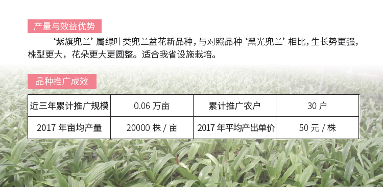 博彩论坛排名
