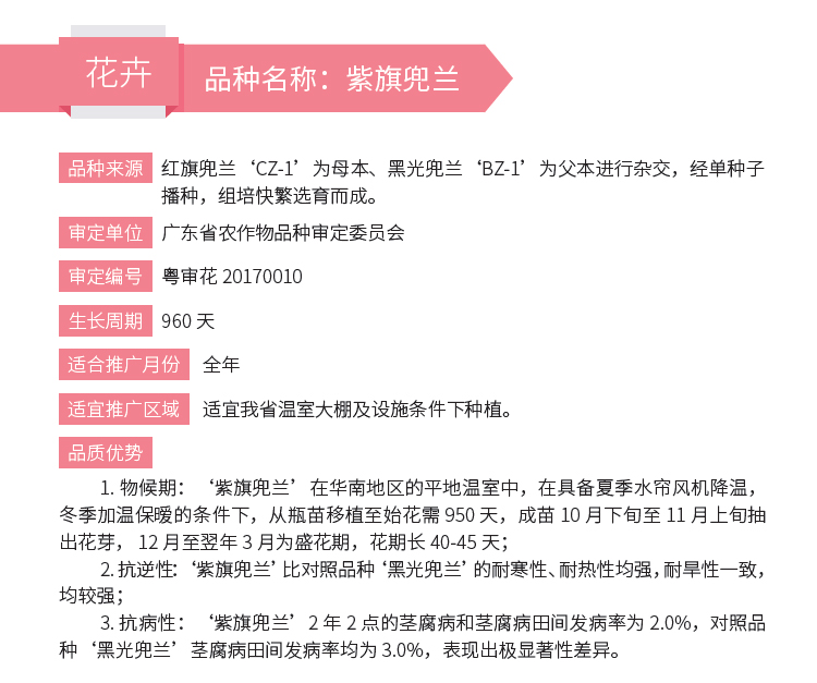 博彩论坛排名