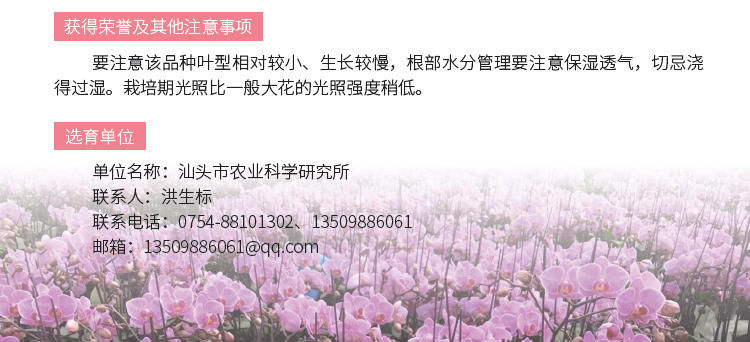 博彩论坛排名