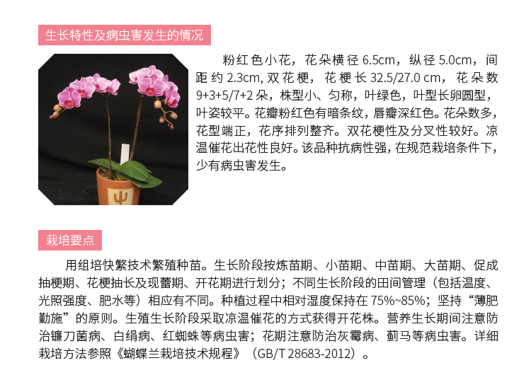 博彩论坛排名