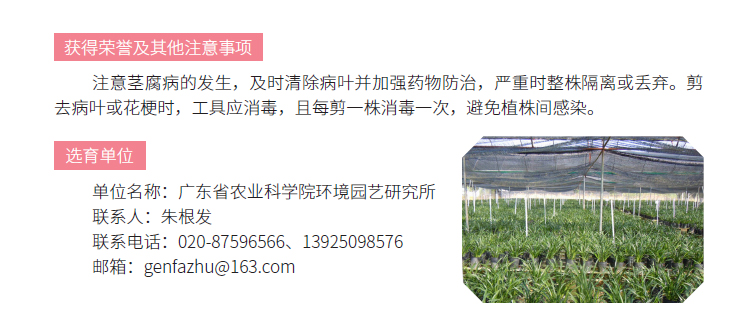 博彩论坛排名