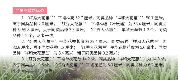 博彩论坛排名