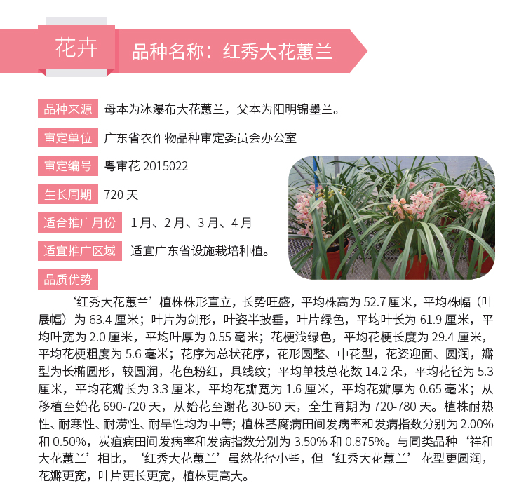 博彩论坛排名