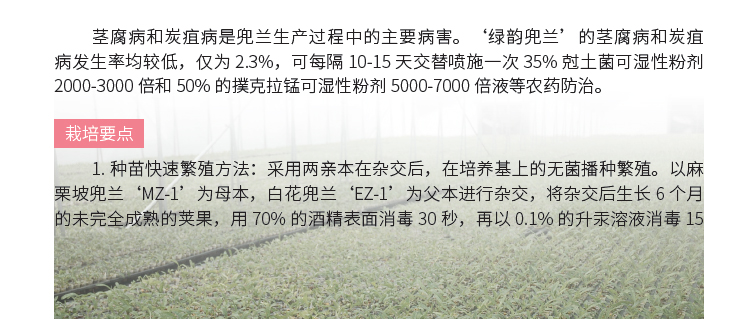 博彩论坛排名
