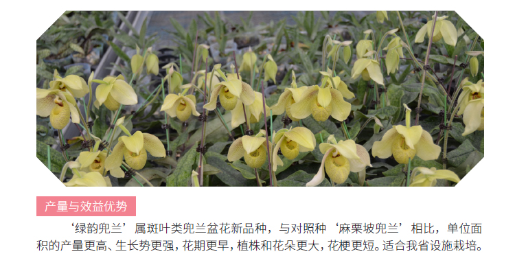 博彩论坛排名