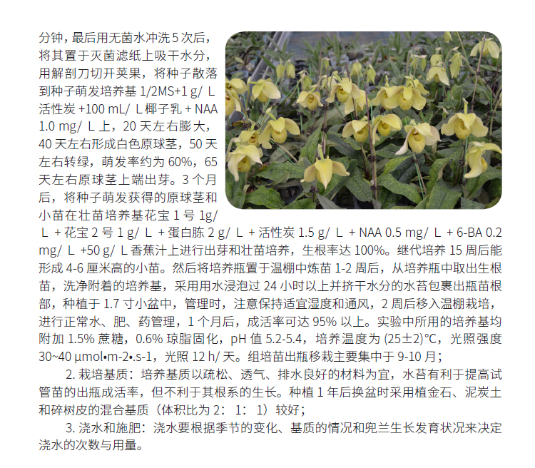 博彩论坛排名