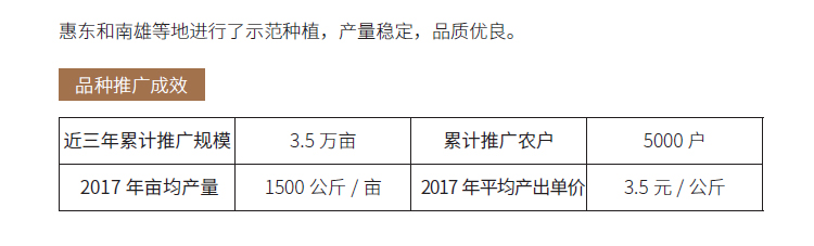 博彩论坛排名