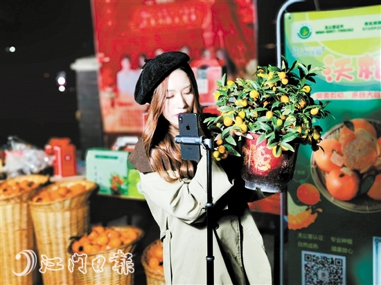 开平本土“网红”主播为年桔年花“直播带货”。 开平本土“网红”主播为年桔年花“直播带货”。
