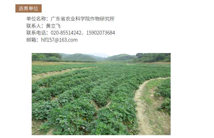 博彩论坛排名