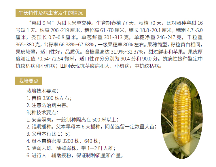 博彩论坛排名