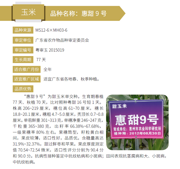 博彩论坛排名