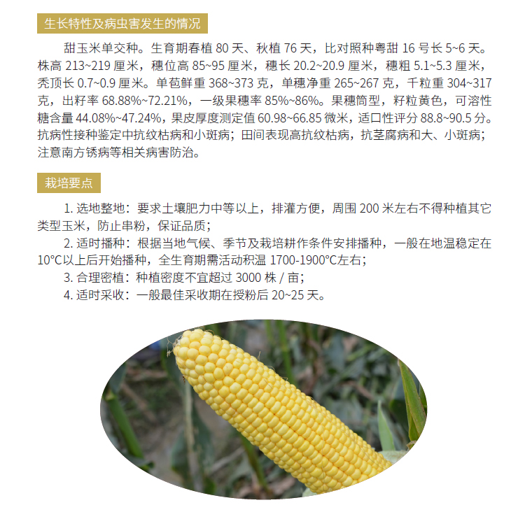博彩论坛排名