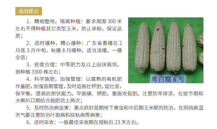 博彩论坛排名
