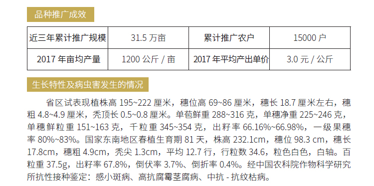 博彩论坛排名