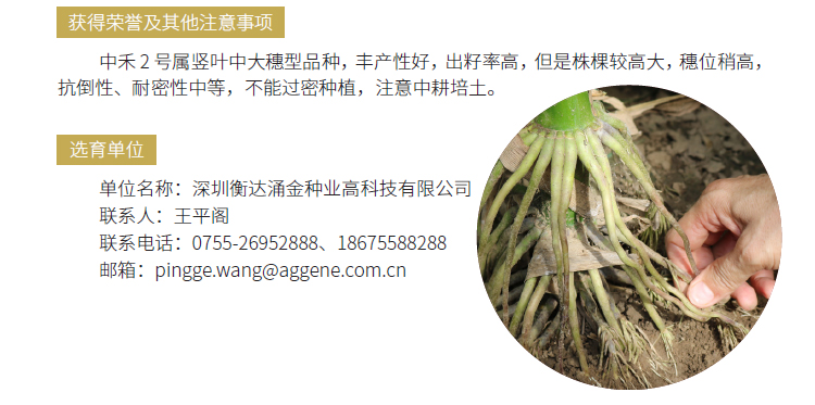 博彩论坛排名