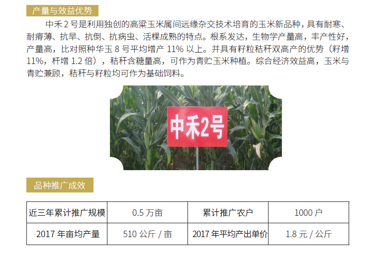 博彩论坛排名