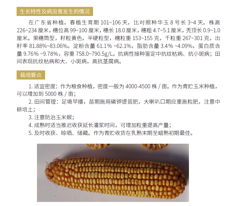 博彩论坛排名