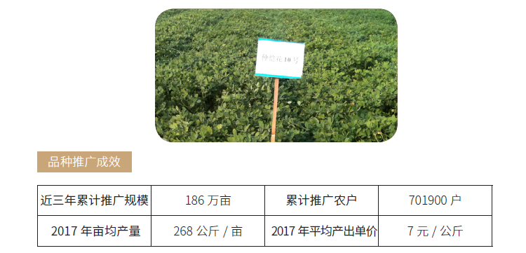 博彩论坛排名