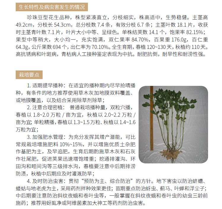 博彩论坛排名