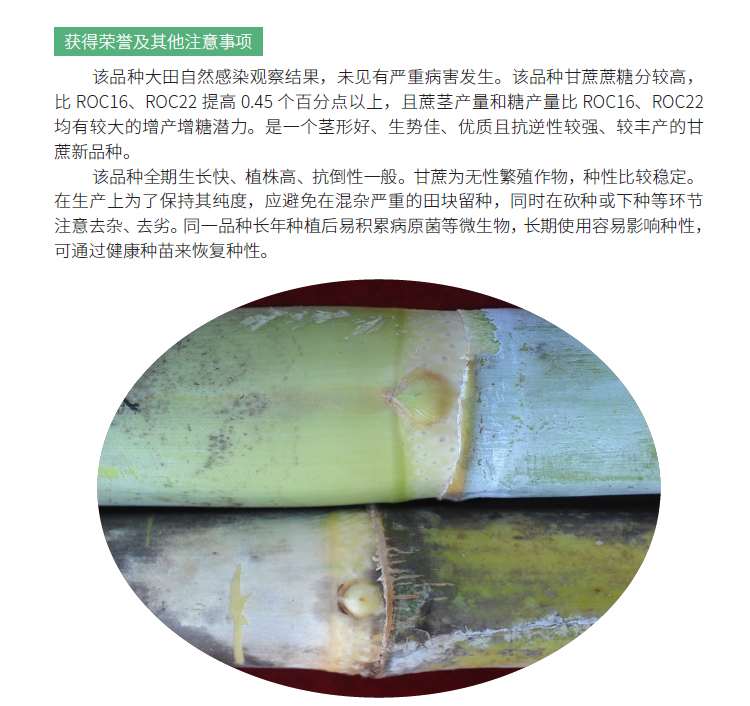 博彩论坛排名