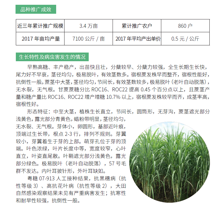 博彩论坛排名