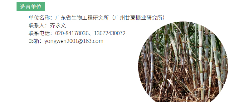 博彩论坛排名