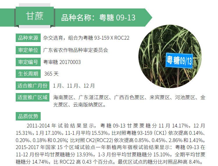 博彩论坛排名