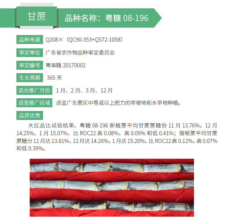 博彩论坛排名