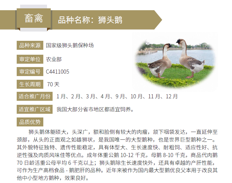 博彩论坛排名
