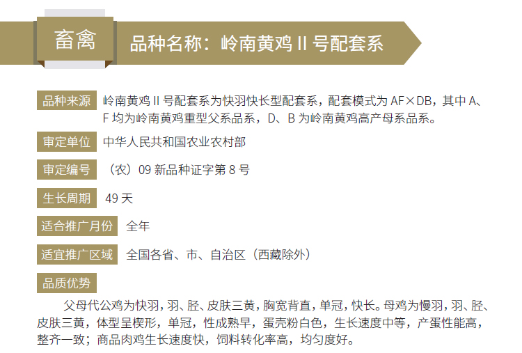 博彩论坛排名