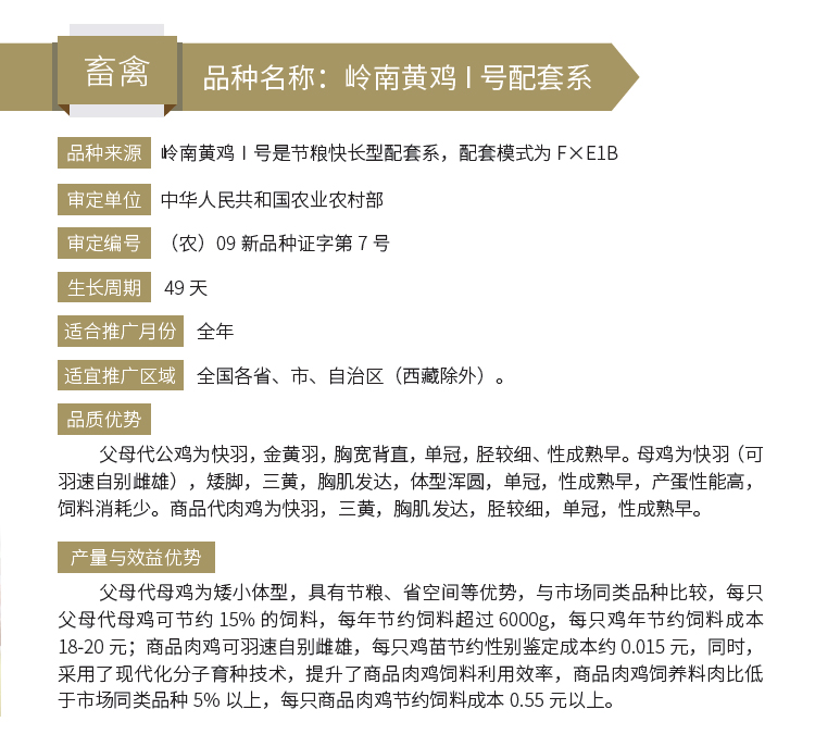 博彩论坛排名
