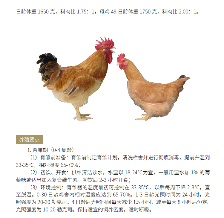 博彩论坛排名