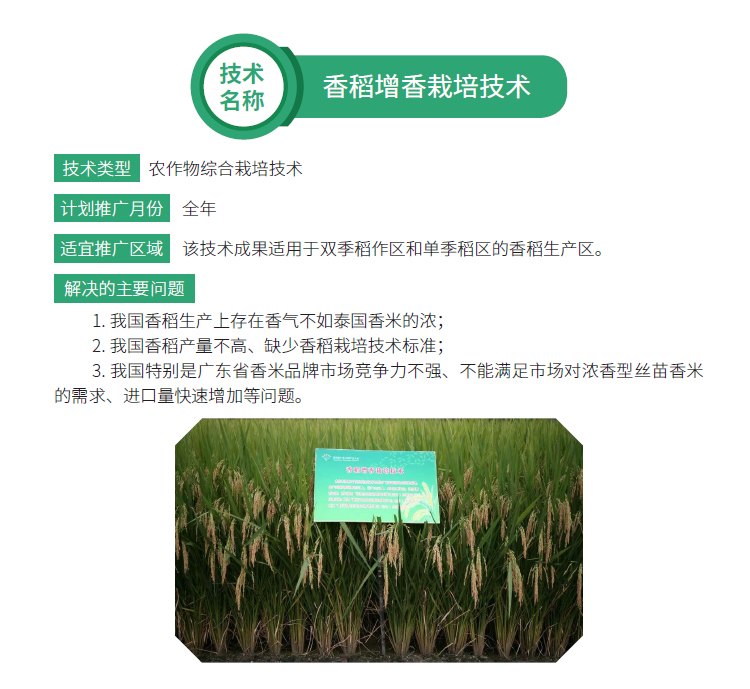博彩论坛排名