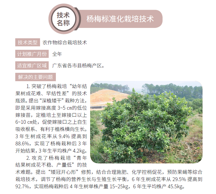 博彩论坛排名