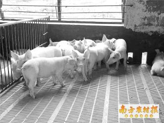 博彩论坛排名