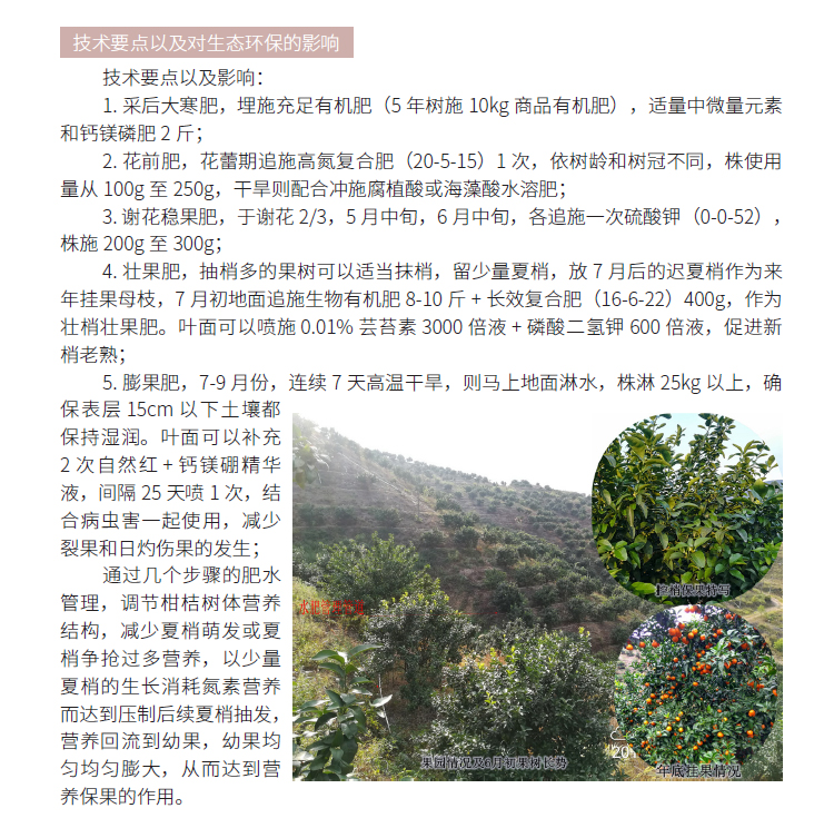 博彩论坛排名