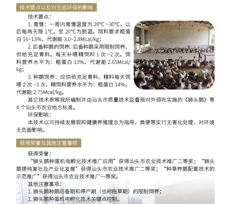 博彩论坛排名