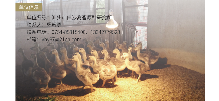 博彩论坛排名
