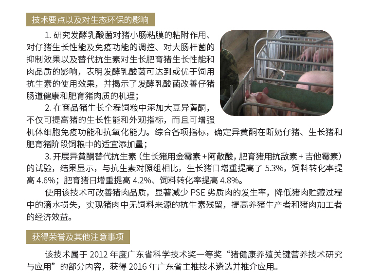 博彩论坛排名