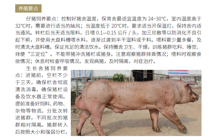 博彩论坛排名