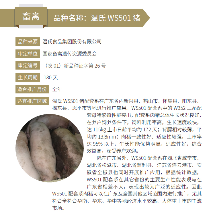 博彩论坛排名