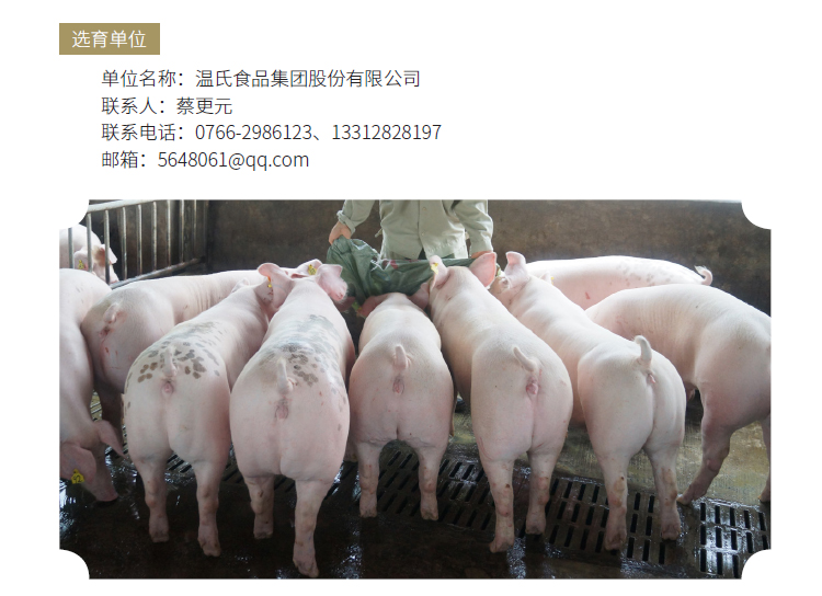 博彩论坛排名