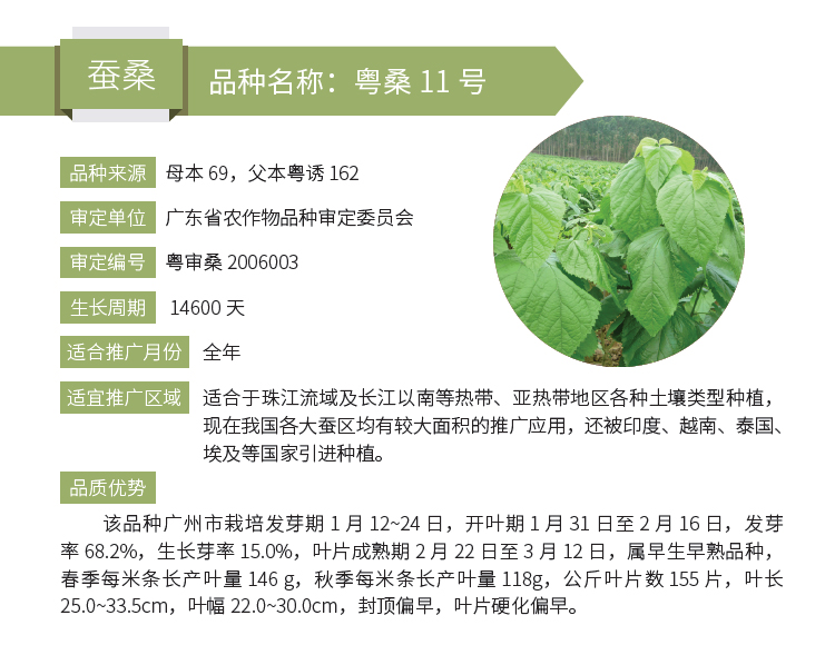 博彩论坛排名
