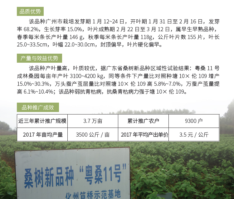 博彩论坛排名