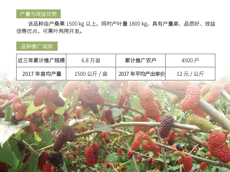 博彩论坛排名